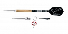 Maestro Golden Kevin Painter 20g 03068