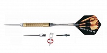 Hero Golden Phil Taylor 20g 03072
